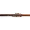 Image 14 : Johnson U.S. M1817 Common Flintlock Musket