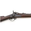 Image 3 : Springfield Armory U.S. Model 1884 Trapdoor Rifle