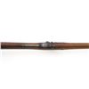 Image 14 : Springfield Armory U.S. Model 1884 Trapdoor Rifle