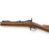 Image 4 : Springfield Armory U.S. Model 1888 Trapdoor Rod-Bayonet Rifle