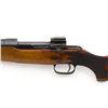 Image 4 : Ross Model 1910 M-10 Straight Pull Sporting Rifle