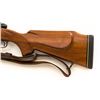 Image 15 : Pre-64 Winchester Model 70 Bolt Action Sporting Rifle
