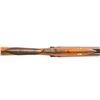 Image 13 : English Smith Side-by-Side Percussion Black Powder Shotgun