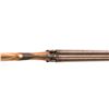 Image 9 : English Smith Side-by-Side Percussion Black Powder Shotgun