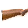 Image 9 : Savage/Fox Model B-SE Side-by-Side Shotgun