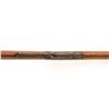 Image 13 : Custom Winchester Model 1895 Lever Action Carbine