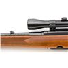Image 17 : Winchester Model 100 Semi-Automatic Rifle