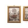Image 2 : Lot of Dug Up Civil War Items In Shadow Box Frames