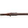 Image 9 : Liege F&T 1861 Percussion Rifled Musket