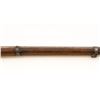 Image 5 : Glisenti Brescia Model 1842 Percussion Musket