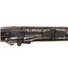 Image 10 : Harrington & Richardson Model 1873 Officer's Rifle