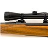 Image 16 : Smith & Wesson Model B Bolt Action Rifle