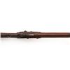 Image 11 : U. S. Model 1817 Henry Deringer Percussion Conversion Rifle