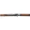 Image 8 : Remington Model 1901 Rolling Block Rifle