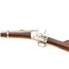 Image 13 : Remington Rolling Block Carbine