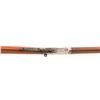 Image 10 : Winchester Model 1894 Lever Action Saddle Ring Carbine