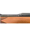 Image 16 : Winchester Model 490 Semi-Automatic Rifle
