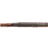 Image 7 : Winchester Model 74 Semi-Automatic Rifle