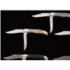 Image 6 : Lot of Seven (7) Buck Model 317 Trailblazer Slipjoint Folding Knives with Exotic Handles