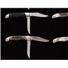 Image 8 : Lot of Seven (7) Buck Model 317 Trailblazer Slipjoint Folding Knives with Exotic Handles