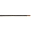 Image 22 : Lot of Two (2) Antique Military Academy Training Rifles From the Late 1800's