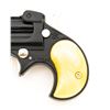 Image 4 : Davis Industries Model D-22 Over/Under Derringer