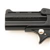 Image 6 : Davis Industries Model D-22 Over/Under Derringer