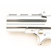 Image 6 : Davis Industries Model D-22 Derringer