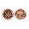 Image 1 : 2- 1 OZ WALKING LIBERTY AND CANNABIS COPPER ROUNDS