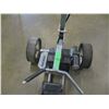 Image 3 : BATTERY OPERATED GOLF CART
