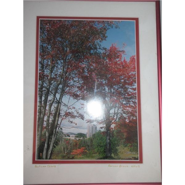SEIZURE:  CORNERBROOK, NEWFOUNDLAND FRAMED PHOTO