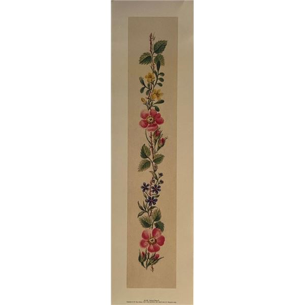 Vintage Italian String of Roses Art Print