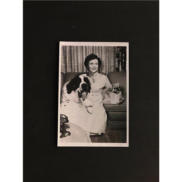 Betty White with Dogs Photo