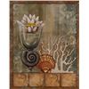 Image 1 : Vintage Seashells Art Print