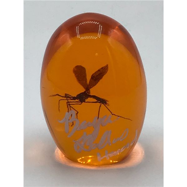 BRYCE DALLAS HOWARD SIGNED PROP AMBER EGG - WWOC COA