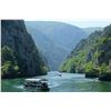 Image 2 : SAFARI INTERNATIONAL MACEDONIA: 5-Day Summer Hunt For 4 Roe Deer for Two Couples