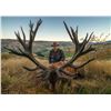 Image 1 : VENATOR NZ:  4-Day New Zealand Red Stag Hunt for One Hunter and One Observer