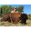 Image 1 : OX RANCH: 3-Day/2-Night Ox Ranch Hunt for One Hunter & One Observer