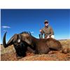 Image 1 : CAPE TO CAIRO SAFARI: 5-Day Plains, Exotic, and Dangerous Game Hunt for Two Hunters