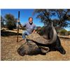 Image 3 : CAPE TO CAIRO SAFARI: 5-Day Plains, Exotic, and Dangerous Game Hunt for Two Hunters