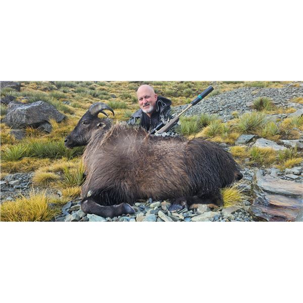 NEWZEALANDHUNTING.COM: 5-Day Traditional Bull Tahr Hunt For Two Hunters and Two Observers