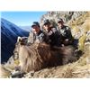 Image 3 : NEWZEALANDHUNTING.COM: 5-Day Traditional Bull Tahr Hunt For Two Hunters and Two Observers