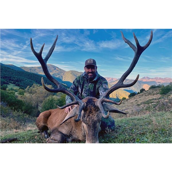 TROPHY HUNTING SPAIN: 4-Day Free-Range Iberian Red Stag Hunt for 1 Hunter and One Observer in Spain'