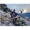 Image 2 : TROPHY HUNTING SPAIN: 4-Day Free-Range Iberian Red Stag Hunt for 1 Hunter and One Observer in Spain'