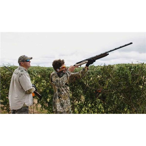 SIERRA BRAVA: 4-Day High Volume Dove Shooting Hunt for Six Hunters