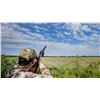 Image 2 : SIERRA BRAVA: 4-Day High Volume Dove Shooting Hunt for Six Hunters