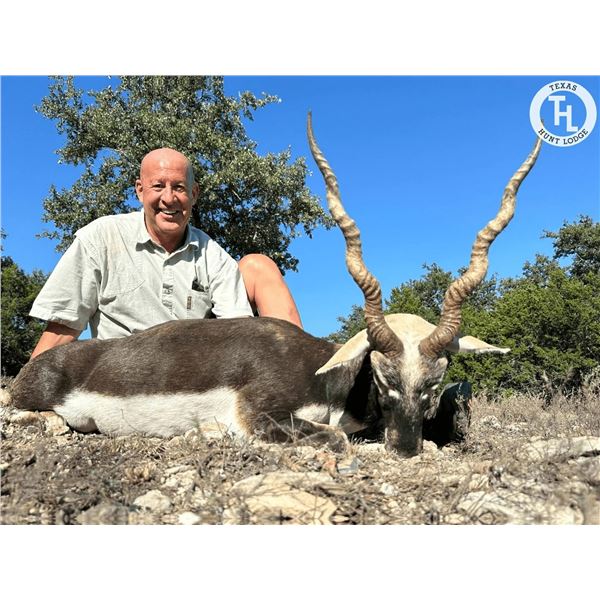 TX HUNT LODGE: 3-Day, 2-Night, Record-Class Blackbuck Hunt for One Hunter and One Observer