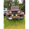 Image 2 : 1995 Jeep Islander 
