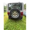 Image 5 : 1995 Jeep Islander 