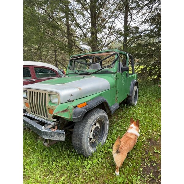 1980s Jeep TJ ready for some bushwhacking